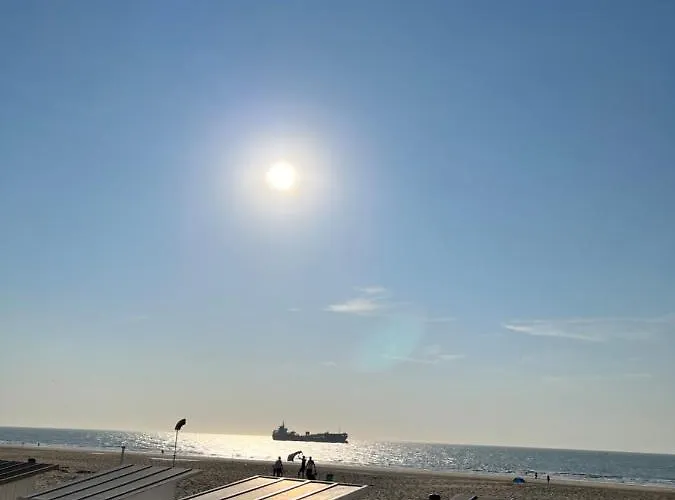 公寓 Center Yellow