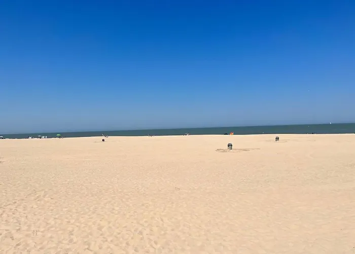 Center Yellow 公寓 *