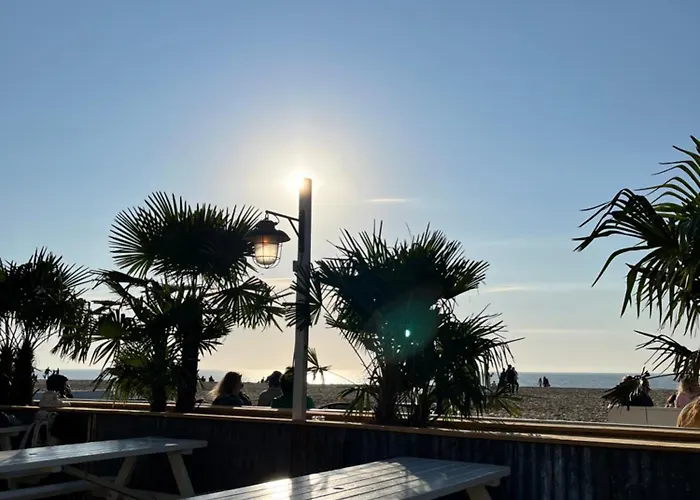 Center Yellow 奥斯滕德